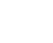 Genesis Product Development
